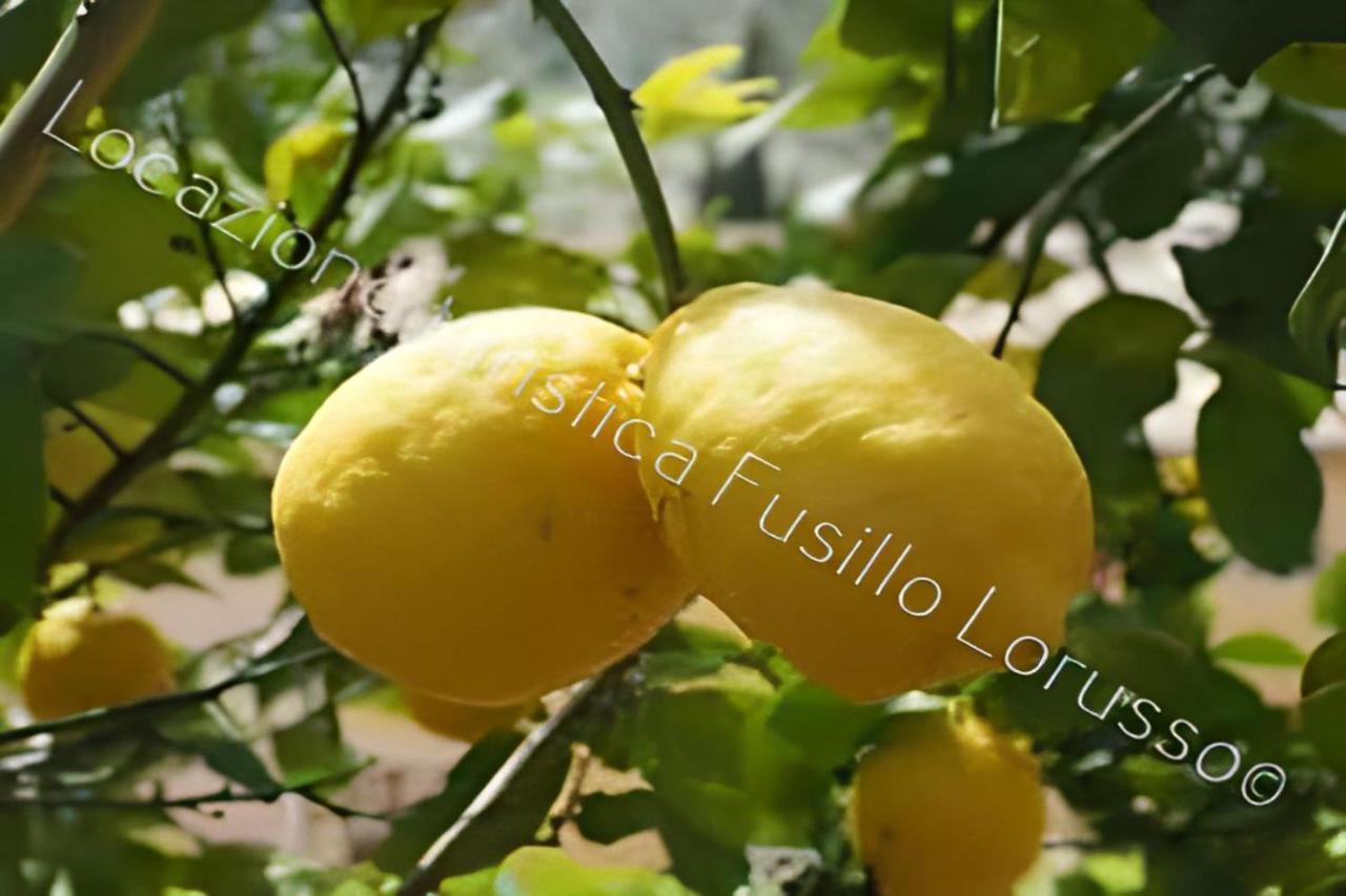 Appartamento Locazione Turistica Fusillo Lorusso Barletta Esterno foto