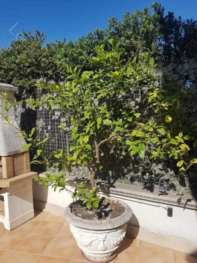 Appartamento Locazione Turistica Fusillo Lorusso Barletta Esterno foto